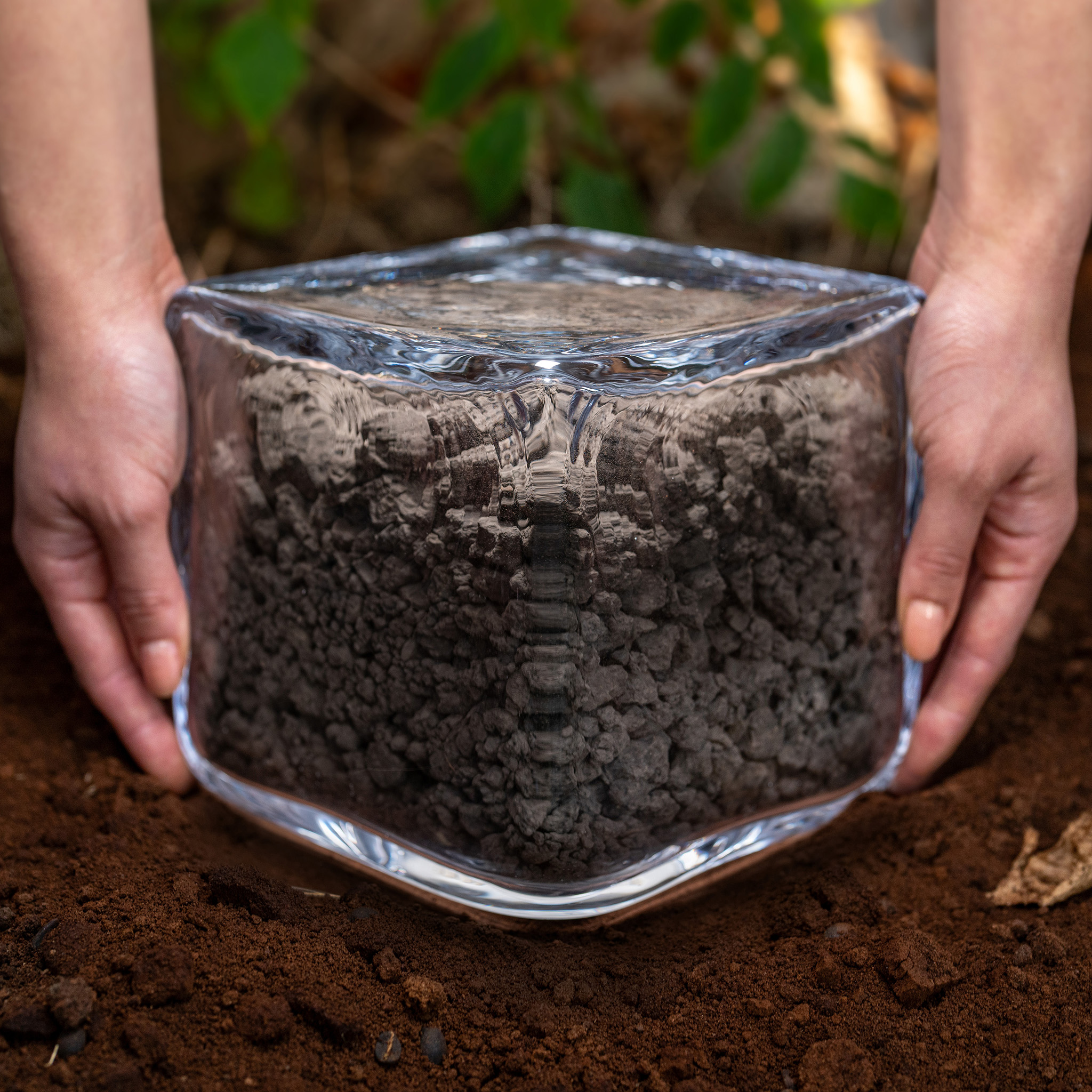 Render of glass block filled with carbon-rich soil.